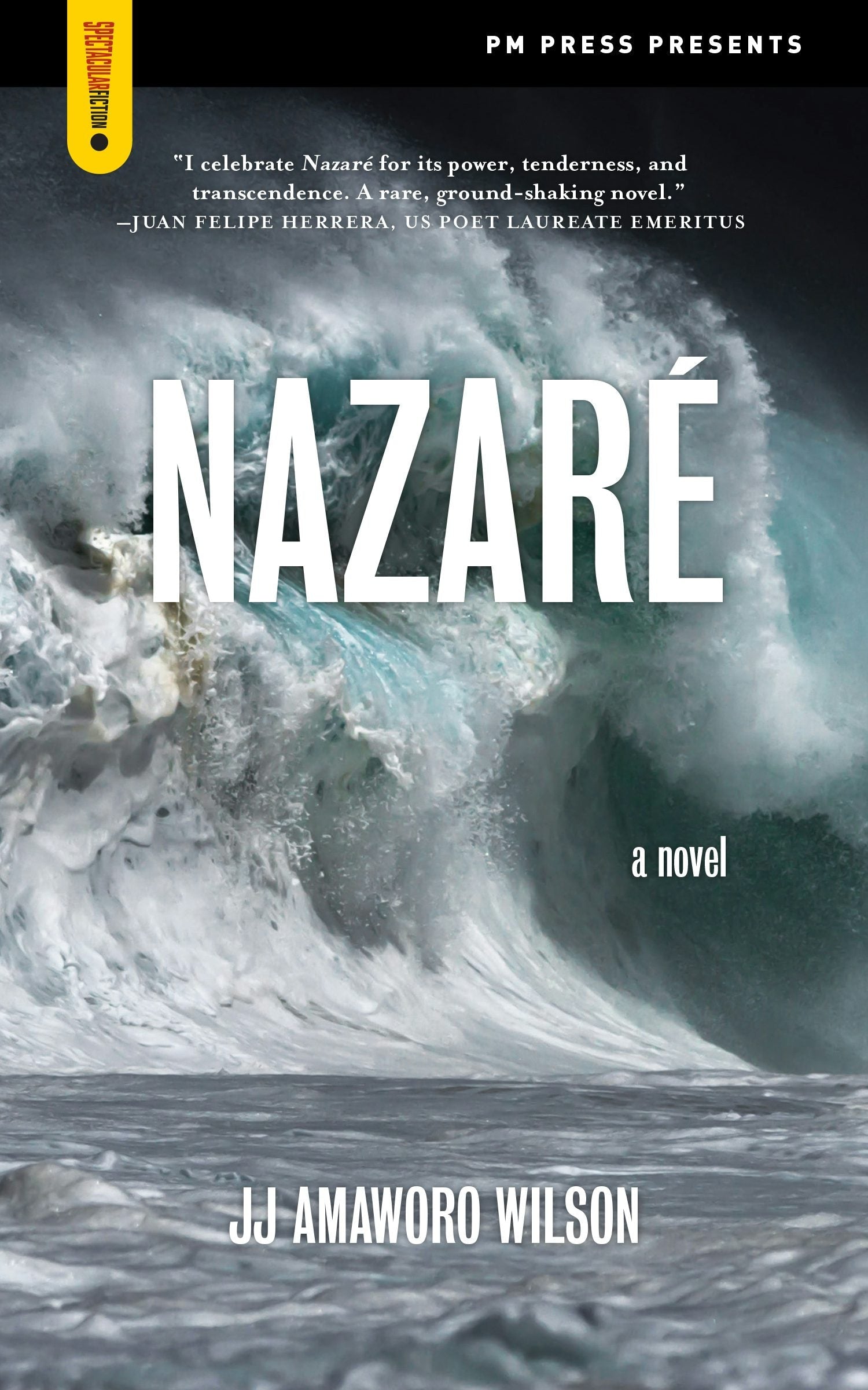 Book cover image for Nazaré ISBN: 9781629639208